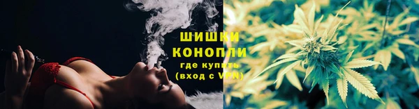 гидра Пролетарск